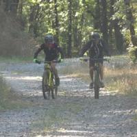 2023 vtt 237 
