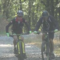 2023 vtt 238 