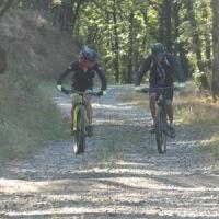 2023 vtt 239 