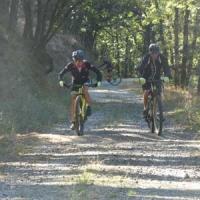 2023 vtt 240 