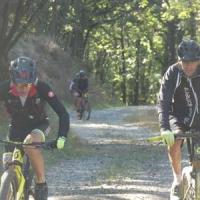 2023 vtt 241 