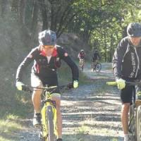 2023 vtt 242 