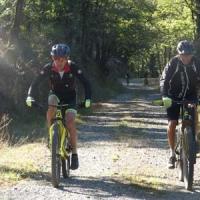 2023 vtt 243 