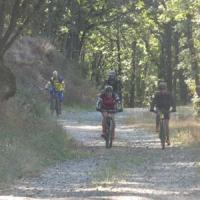 2023 vtt 245 