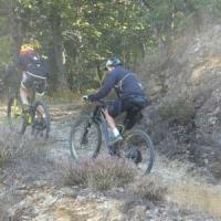 2023 vtt 246 