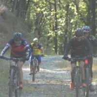 2023 vtt 247 