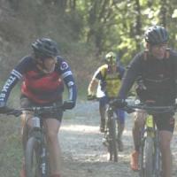 2023 vtt 248 