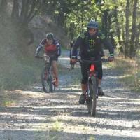 2023 vtt 249 