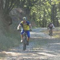 2023 vtt 253 