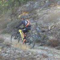 2023 vtt 254 