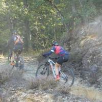 2023 vtt 255 
