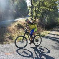 2023 vtt 258 