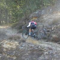 2023 vtt 260 