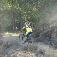 2023 vtt 262 