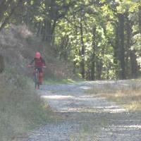 2023 vtt 263 