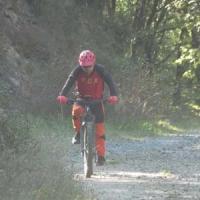 2023 vtt 264 