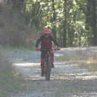 2023 vtt 266 