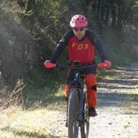 2023 vtt 268 