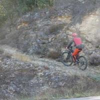 2023 vtt 270 