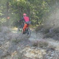 2023 vtt 271 