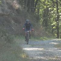 2023 vtt 272 