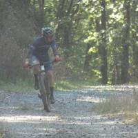 2023 vtt 273 