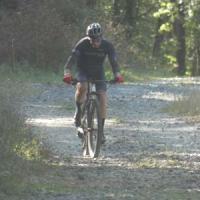 2023 vtt 274 