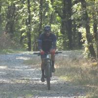2023 vtt 275 