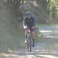 2023 vtt 277 