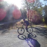 2023 vtt 278 
