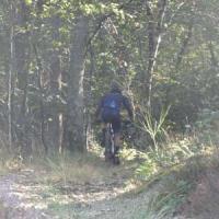 2023 vtt 281 