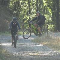 2023 vtt 282 