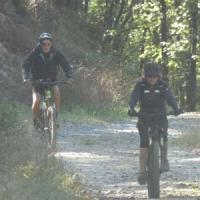 2023 vtt 283 