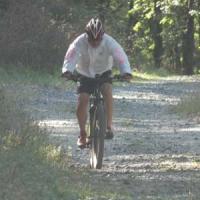 2023 vtt 295 