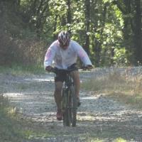 2023 vtt 296 