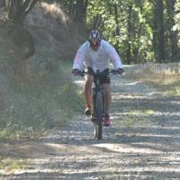 2023 vtt 298 