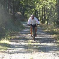 2023 vtt 299 