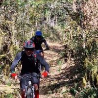 2023 vtt 30 