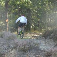 2023 vtt 303 