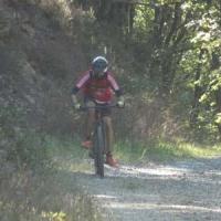 2023 vtt 306 