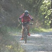2023 vtt 308 