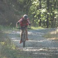 2023 vtt 309 