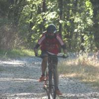 2023 vtt 310 