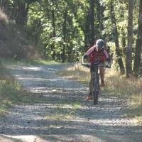 2023 vtt 312 