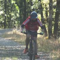2023 vtt 313 