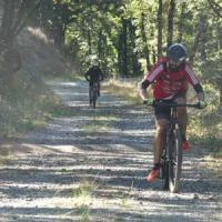 2023 vtt 316 