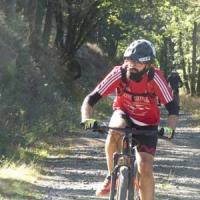 2023 vtt 317 