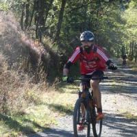 2023 vtt 318 