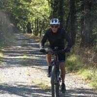 2023 vtt 319 