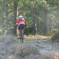 2023 vtt 322 